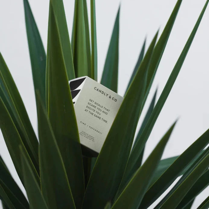 Candly & Co Świeca zapachowa No. 4 Pinia / Paczuli Set goals that scare you and excite you at the same time