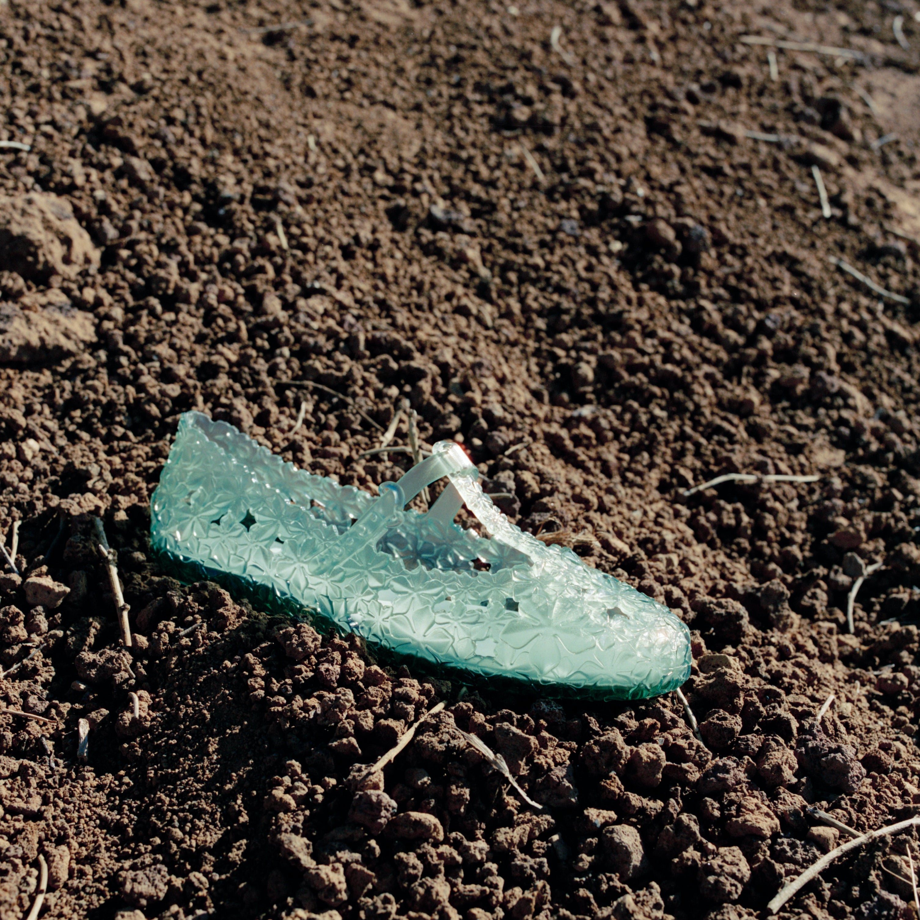 Melissa Daphnis Ballerina + Susan Fang AD Transparent Green Baleriny Damskie Zielone